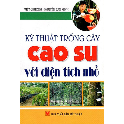 Kỹ Thuật Trồng Cây Cao Su Với Diện Tích Nhỏ