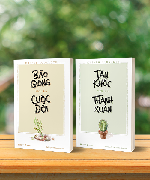 [Tải Ebook] Bộ sách: Thanh xuân và cuộc đời PDF