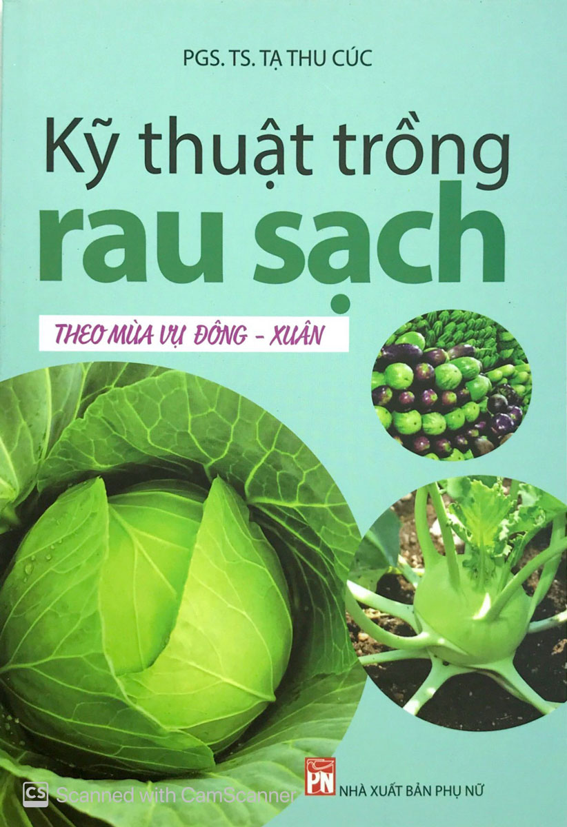 Kỹ Thuật Trồng Rau Sạch Theo Vụ Mùa Vụ Đông - Xuân