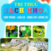 [Tải ebook] Tri Thức Bách Khoa – Côn Trùng, Loài Cá, Động Vật Lưỡng Cư PDF