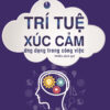 [Tải ebook] Trí Tuệ Xúc Cảm Ứng Dụng Trong Công Việc PDF