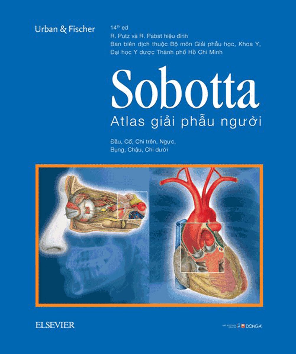 Sobotta Atlas Giải Phẫu Người (Phiên Bản Thứ 14)
