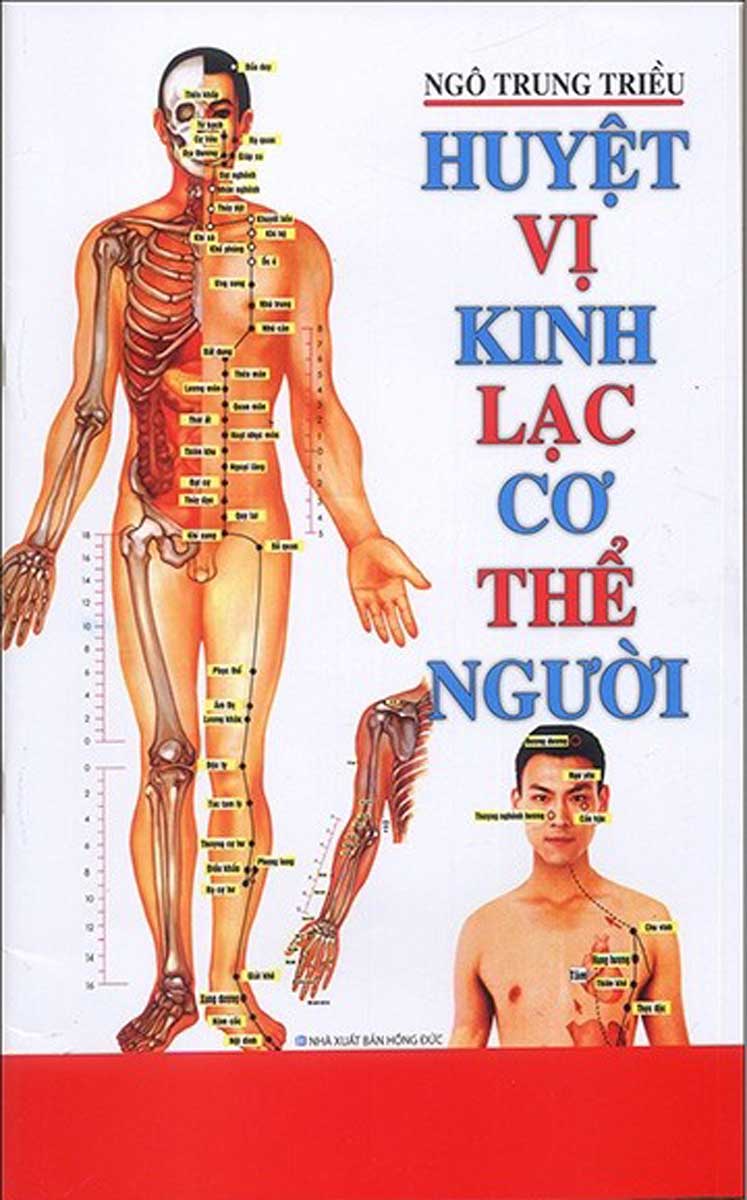 Huyệt Vị Kinh Lạc Cơ Thể Người