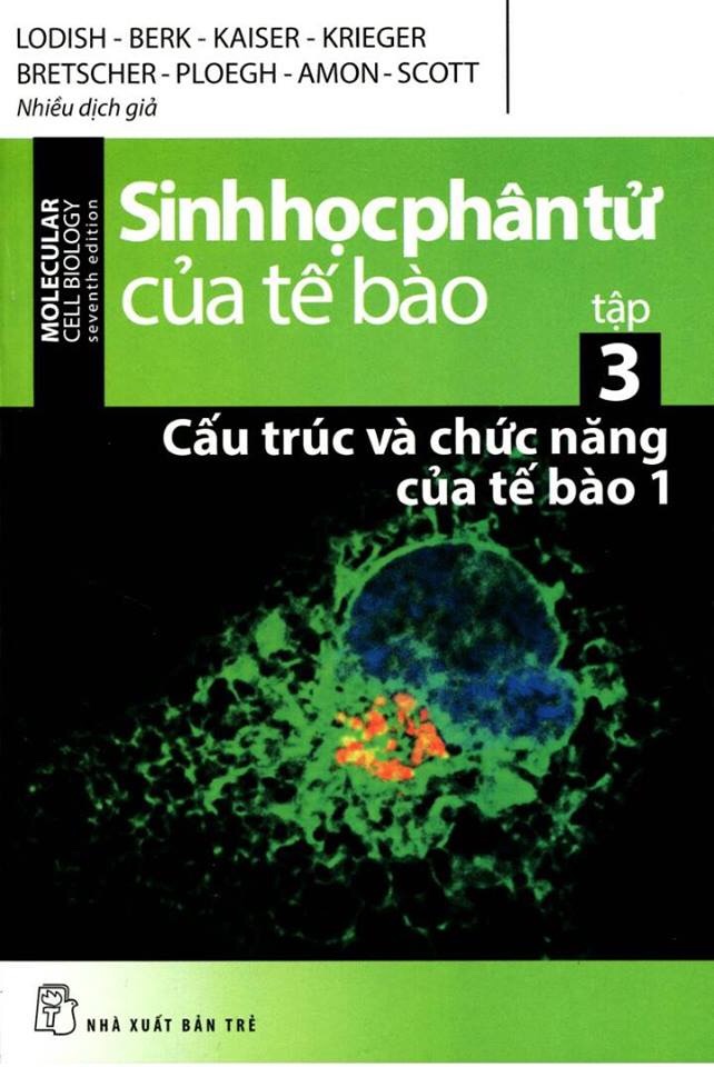 Sinh Học Phân Tử Của Tế Bào - Tập 3: Cấu Trúc Và Chức Năng Của Tế Bào 1