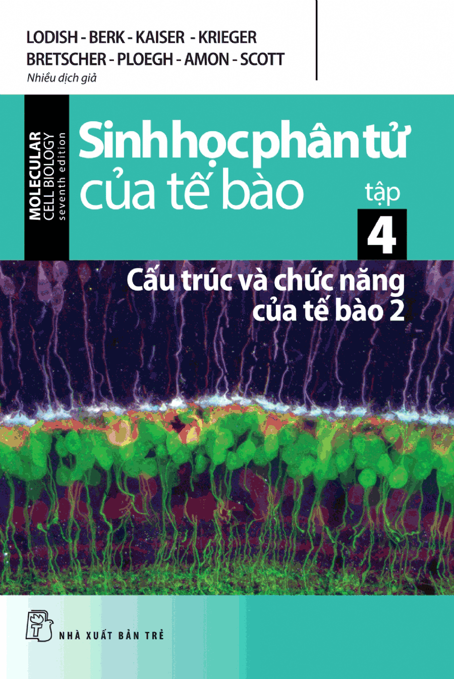 Sinh Học Phân Tử Của Tế Bào - Tập 4 : Cấu Trúc Và Chức Năng Của Tế Bào 2